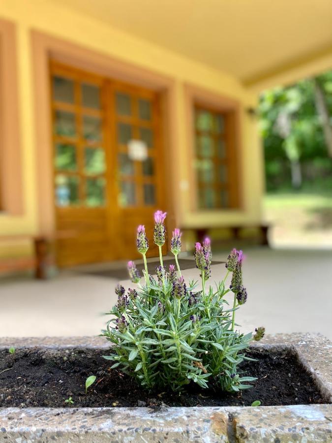 Hotel Szelcepuszta Vadászház Esterno foto